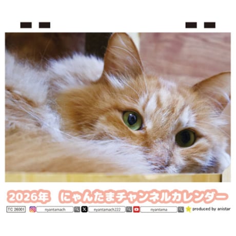 【8/31まで出品】にゃん CATEGORY にゃんたま | ANISTAR