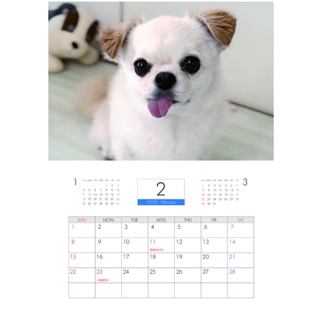【予約販売】 てんちゃん・たるちゃん 犬 2026年 壁掛けカレンダー KK26256