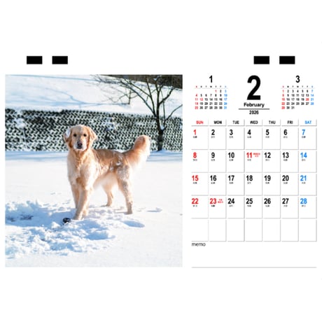 【予約販売】 ジョイ＆マックス 犬 2026年 卓上 カレンダー TC26324