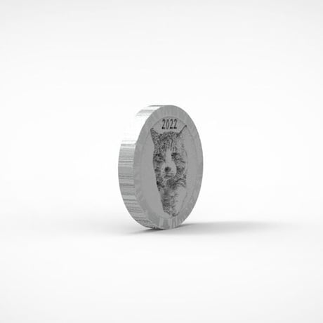 【予約販売】 旅猫 ニャン吉 2022年 イヤーコイン Year Coin  YC2202
