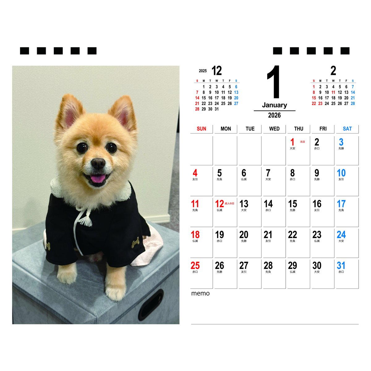 予約販売】 ポメラニアンのポメくん 犬 2026年 卓上半面 カレンダー