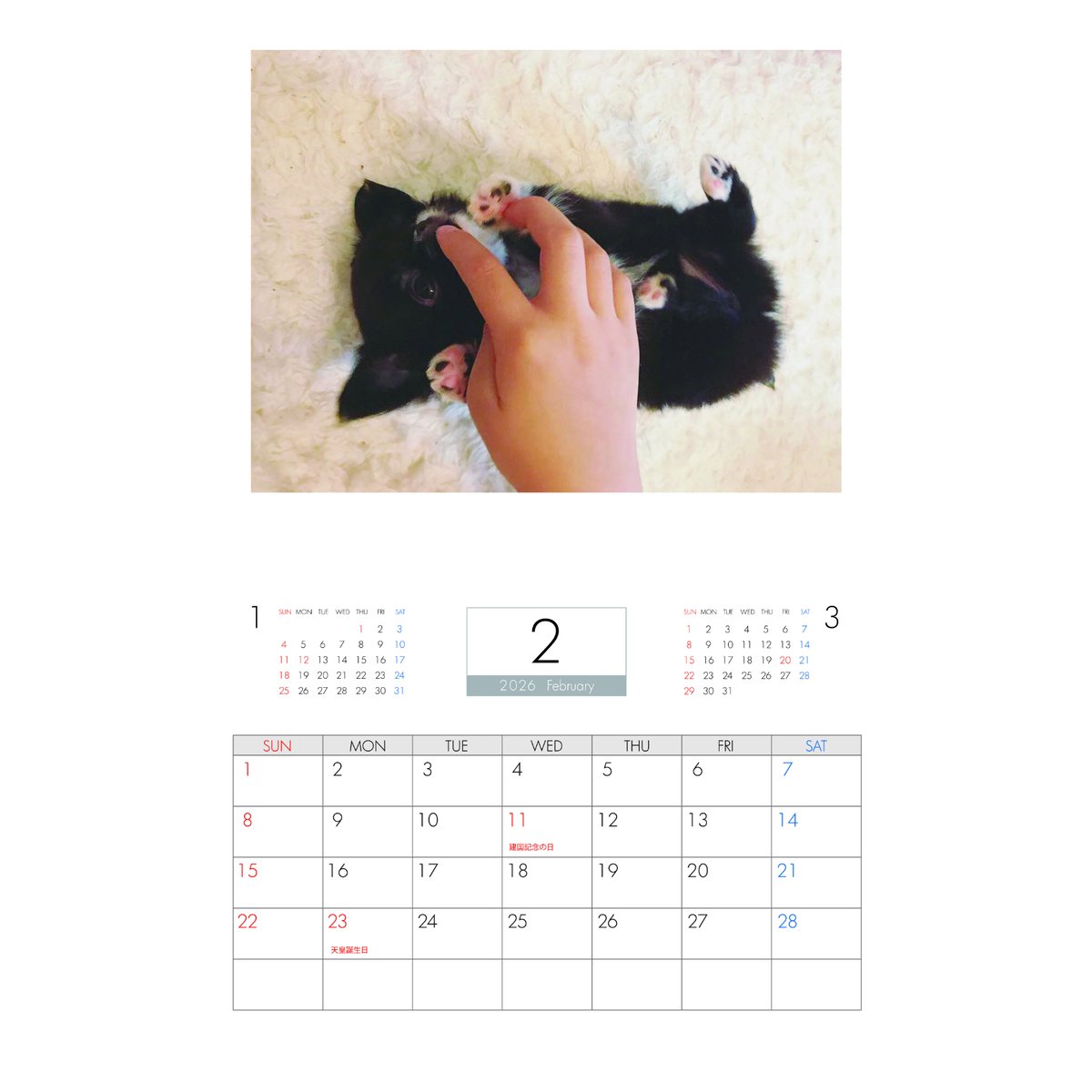 fit=scale-down,w=1200