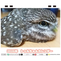 【予約販売】 ふくろうのトゥルちゃん 2026年 卓上カレンダー TC26108