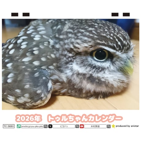 【予約販売】 ふくろうのトゥルちゃん 2026年 卓上カレンダー TC26108