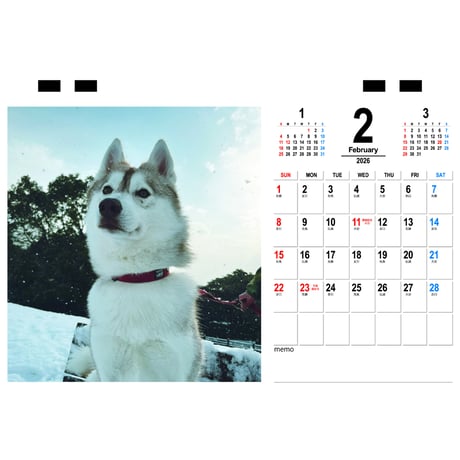 【予約販売】 りりここたんねる 2026年 卓上カレンダー TC26206