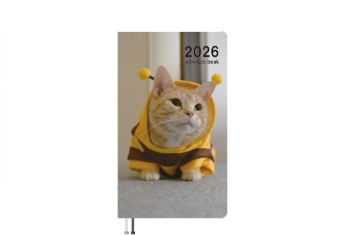 猫先輩 fit=scale-down,w=1200