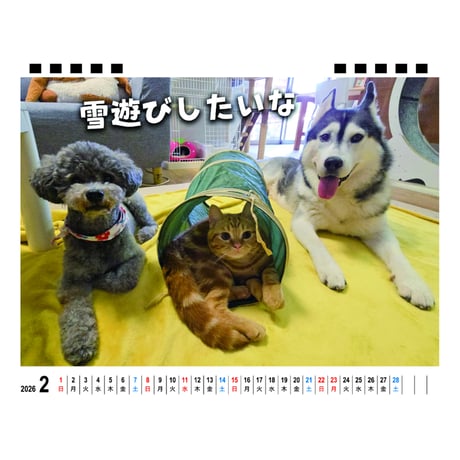 【予約販売】 犬と猫の親バカ日記 2026年 卓上カレンダー TA26209