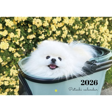 【予約販売】 ポテチ 犬 猫のレモンと犬のポテチちゃんねる 2026年 壁掛け カレンダー KA26304