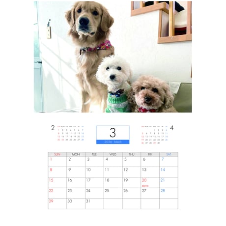 【予約販売】 いちご&ミルク＆ぷりん 犬 2026年 壁掛けカレンダー KA26235