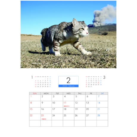 【予約販売】 旅猫 ニャン吉 2026年 壁掛けカレンダー KK26096
