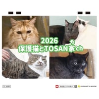 【予約販売】 保護猫とTOSAN家ch 2026年 卓上カレンダー TC26133