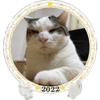 【予約販売】 ひのき猫 2022年 イヤープレート皿立て付き PU2204