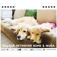【予約販売】 ゴールデンレトリバー犬のコメ&イクラ 2025年 卓上全面 カレンダー TC25355