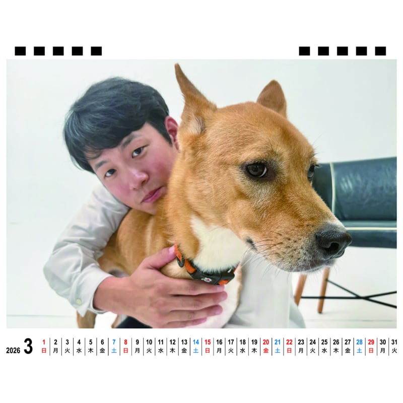 予約販売】 チワワののぶなが 犬 2026年 卓上カレンダー TA26090 | ANISTAR