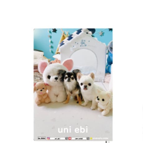 【予約販売】 チワワ犬のUNI＆EBI 2025年 A5ノート帳 No25239