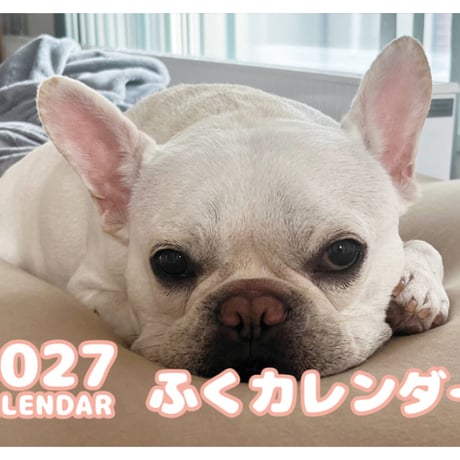 【予約販売】 ふく フレンチブルドッグ 犬 2027年 壁掛け カレンダー KK27021