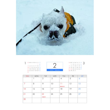 【予約販売】 ふく フレンチブルドッグ 犬 2027年 壁掛け カレンダー KK27021