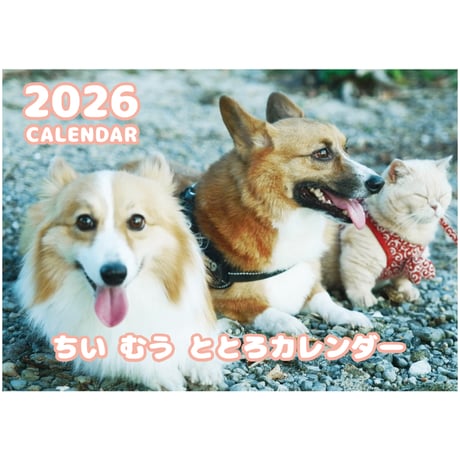 【予約販売】 ちい むう ととろ コーギー 猫 2026年 壁掛け カレンダー KA26030