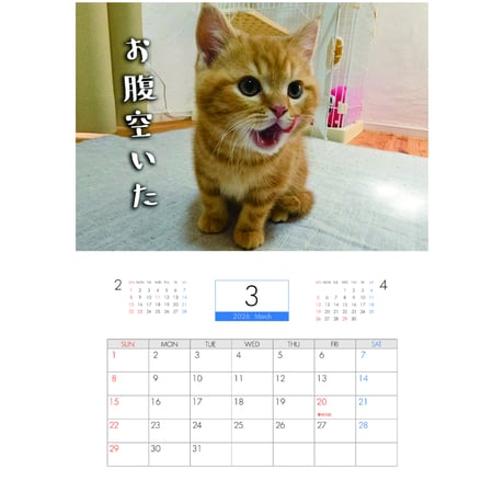 【予約販売】 犬と猫の親バカ日記 じゅんちゃん茶太郎 2026年 壁掛けカレンダー KA26208