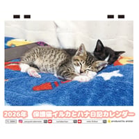 【予約販売】 保護猫イルカとハナ日記 2026年 卓上カレンダー TC26247