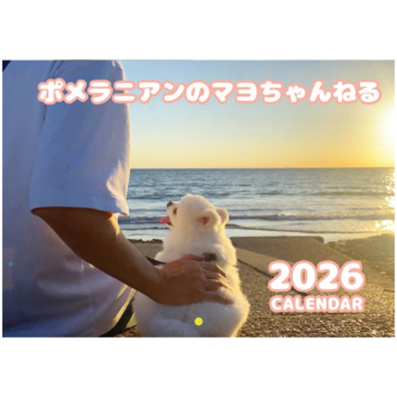 予約販売】 ポメラニアンのマヨちゃんねる 犬 2026年 壁掛けカレンダー