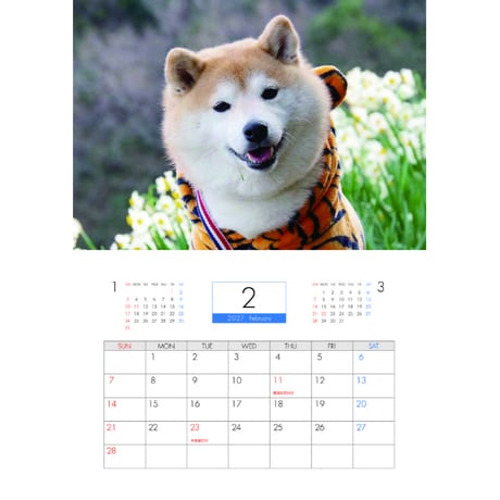 【予約販売】 柴犬 小雨 2027年 壁掛け カレンダー KK27014