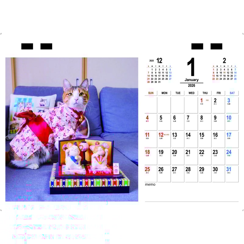 予約販売】 小雪ちゃん 猫 2026年 卓上半面 カレンダー TC26016 | ANISTAR
