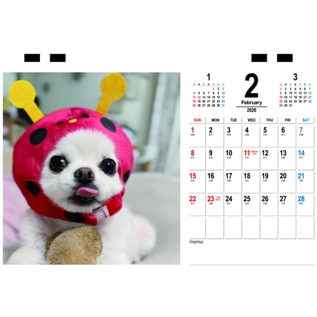 【予約販売】 てんちゃん・たるちゃん 犬 2026年 卓上カレンダー TC26257