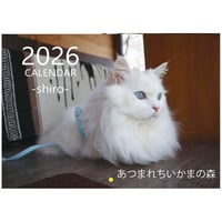 【予約販売】 あつまれちいかまの森 猫 2026年 壁掛け カレンダー KK26292