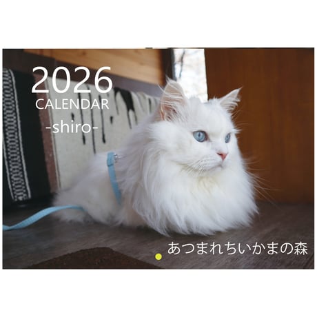 【予約販売】 あつまれちいかまの森 猫 2026年 壁掛け カレンダー KK26292