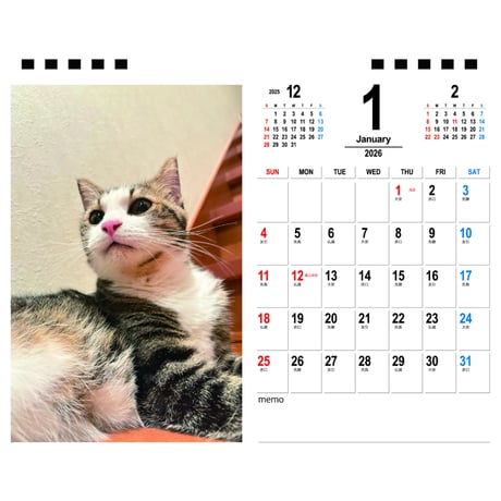 【予約販売】 ひのき猫 2026年 卓上カレンダー TA26176