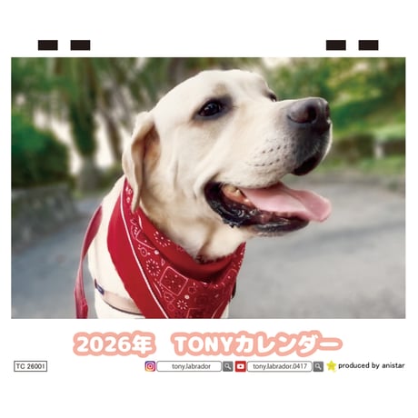 CATEGORY TONY | ANISTAR