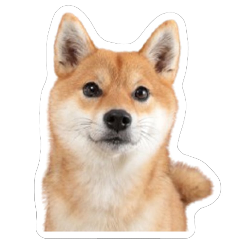 確認用☆柴犬☆パグ 予約販売】 ラル＆アキ パグ 柴犬 ステッカー 3枚セット SU002NN | ANISTAR