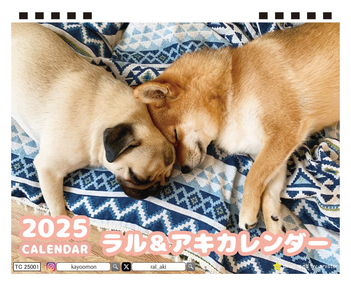 【予約販売】 パグと柴犬のラル＆アキ 2025年 卓上半面 カレンダー TC25268 | A...