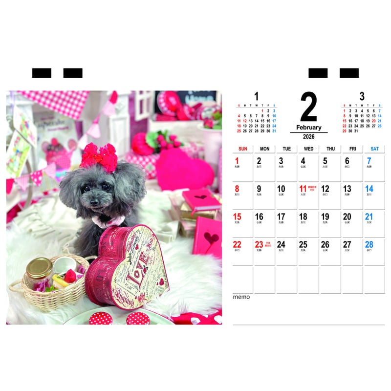 予約販売】 ココア トイプードル 犬 2026年 卓上半面 カレンダー