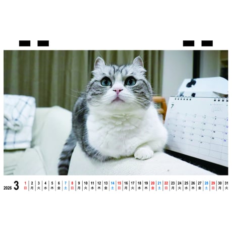 【予約販売】 猫のこまる 2026年 卓上カレンダー TC26139