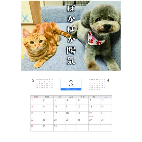 【予約販売】 犬と猫の親バカ日記 2026年 壁掛けカレンダー KA26207