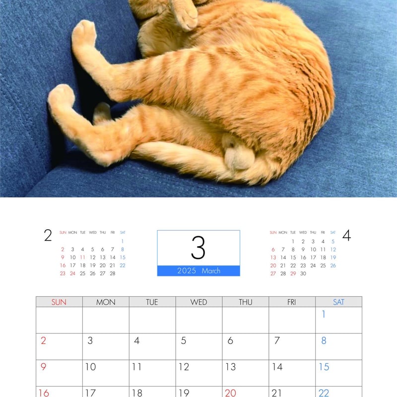 予約販売】 猫のにゃろめっこ 2025年 壁掛け カレンダー KK25331 | ANISTAR