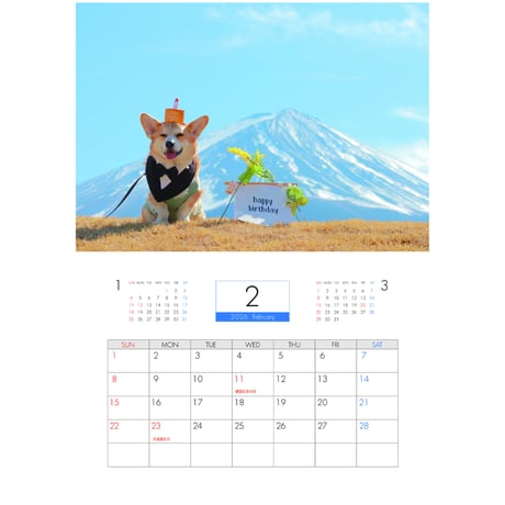 【予約販売】 初めてのコーギー 犬 2026年 壁掛けカレンダー KA26178