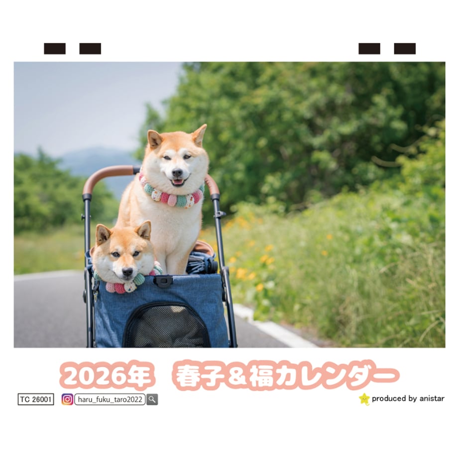 68dc86d223e190b75eb2727d