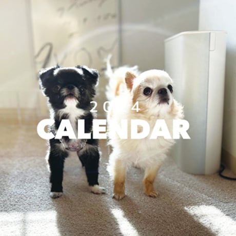 【予約販売】 チワワ犬のTORO&UNI 2024年 壁掛け カレンダー KK24052