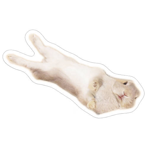 予約販売】 うさぎのコガラナ天パのうさハムch シール 5枚セット