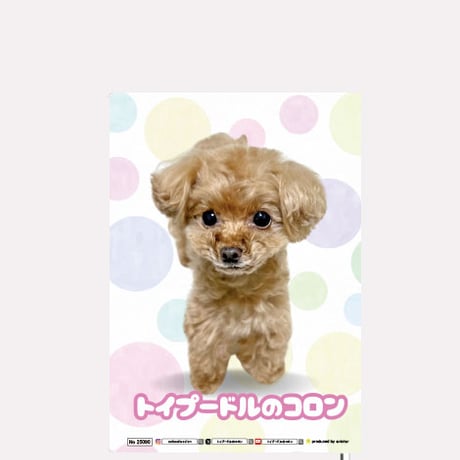 【予約販売】 トイプードル犬のコロン 2025年 A5ノート帳 No25090