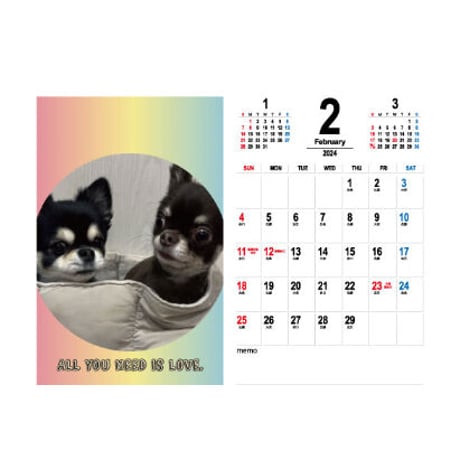 【予約販売】 チワワ犬のここまる三兄弟 2024年 カレンダー 卓上 カレンダー TC24262