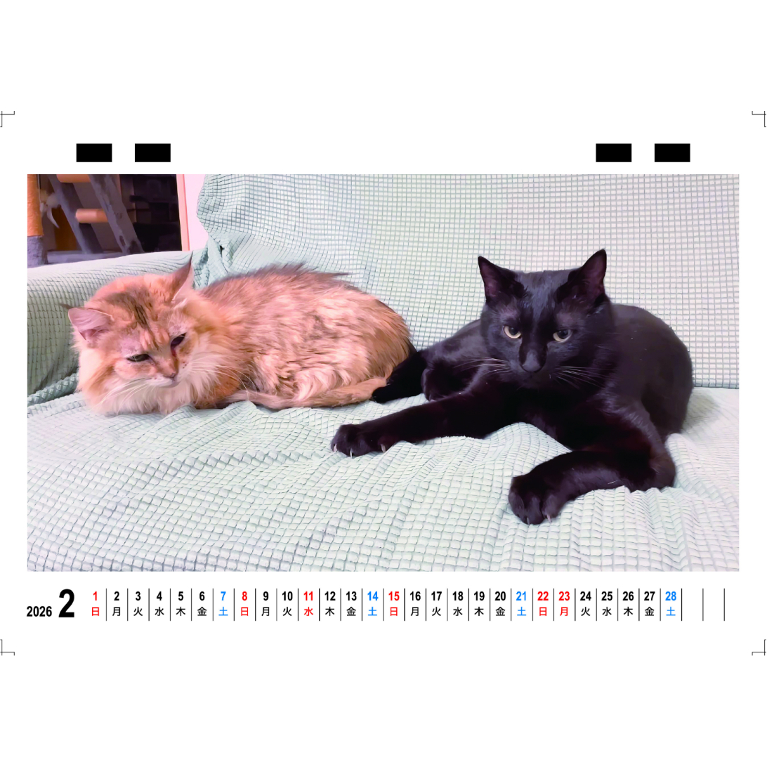 猫 カード検索 ｜ Z/X - Zillions of enemy X - ゼクス公式サイト