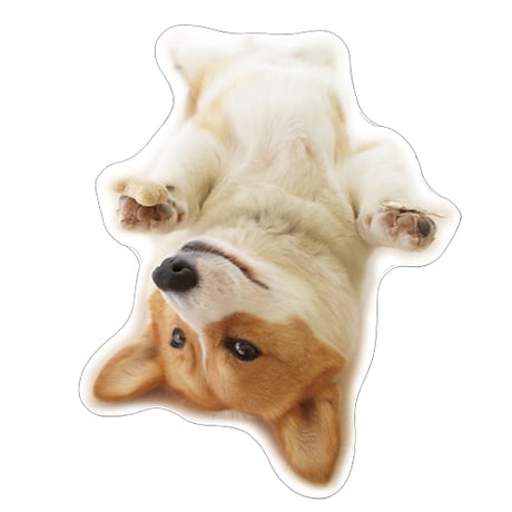 【予約販売】 初めてのコーギー 犬 ステッカー 3枚セット SU012NN