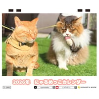 【予約販売】 猫のにゃろめっこ 2026年 卓上カレンダー TC26157