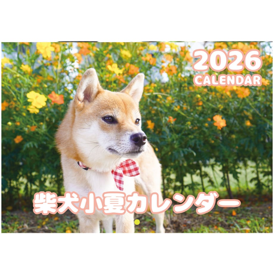 68eee09ca06e093ea0a9f5b6