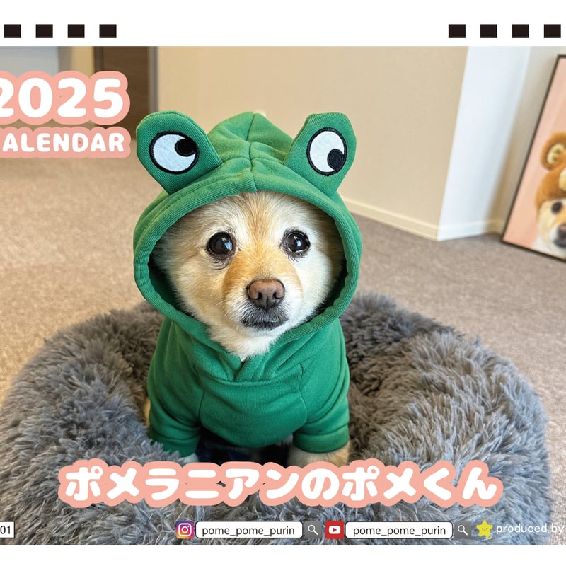 予約販売】 ポメラニアンのポメくん 2025年 卓上半面 カレンダー