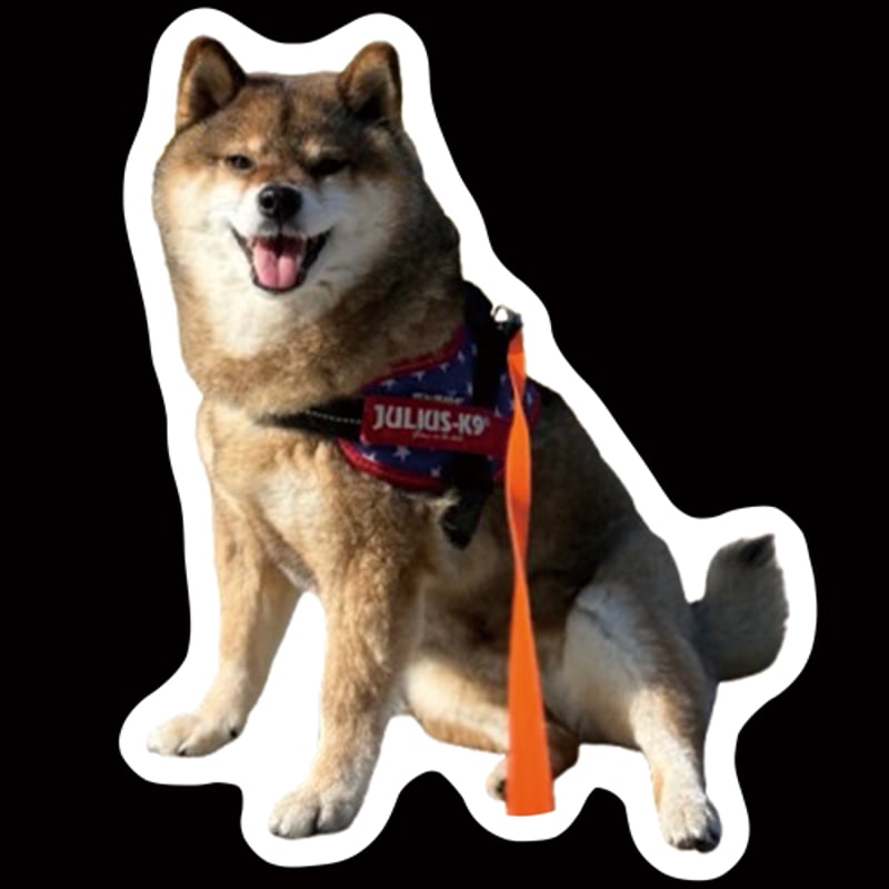 予約販売】 柴犬のあず花 2026年 3枚セット ステッカー SU004NN | ANISTAR